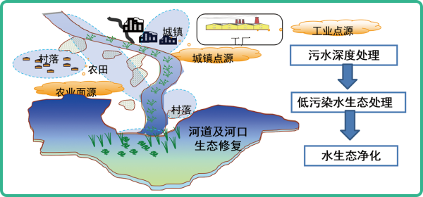 人工濕地，人工濕地建設